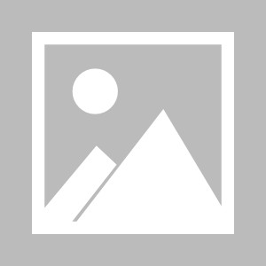 开云App-【记意电波】亚特兰大力有不逮，罗马成意甲欧战独苗