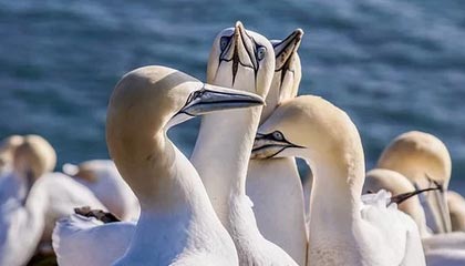 开云体育：让体育成为生活的共同体