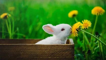 乐鱼电竞平台：让热爱成为生产力的电竞新体验